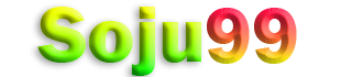 SOJU99